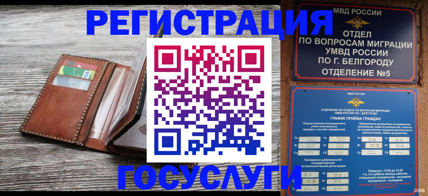 прописка 2025 в Котласе